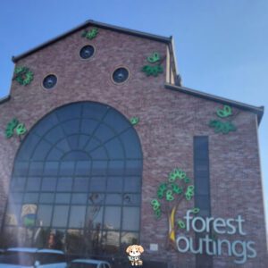 경기도 일산 대형 베이커리 카페, 포레스트 아웃팅스 일산 드라이브 코스