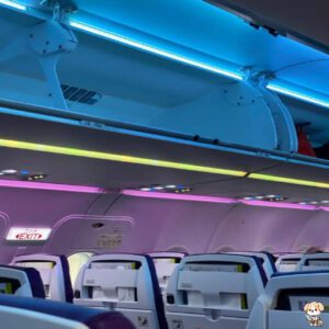 비행기 좌석 추천 사이트를 이용한 비행기 좋은 좌석 고르기 팁