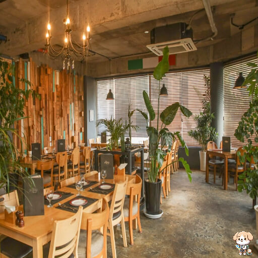 일산 맛집 뻬뽈리 내부 - 순둥이의 여행 블로그