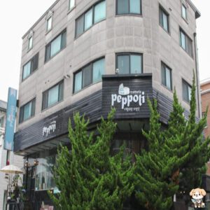 일산 맛집 뻬뽈리ㅣ메뉴(런치메뉴) 가격,주차 정보(feat.홈메이드 티라미수 무료쿠폰 받는법)