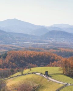 추석 여행지 추천 추석 가볼만한곳