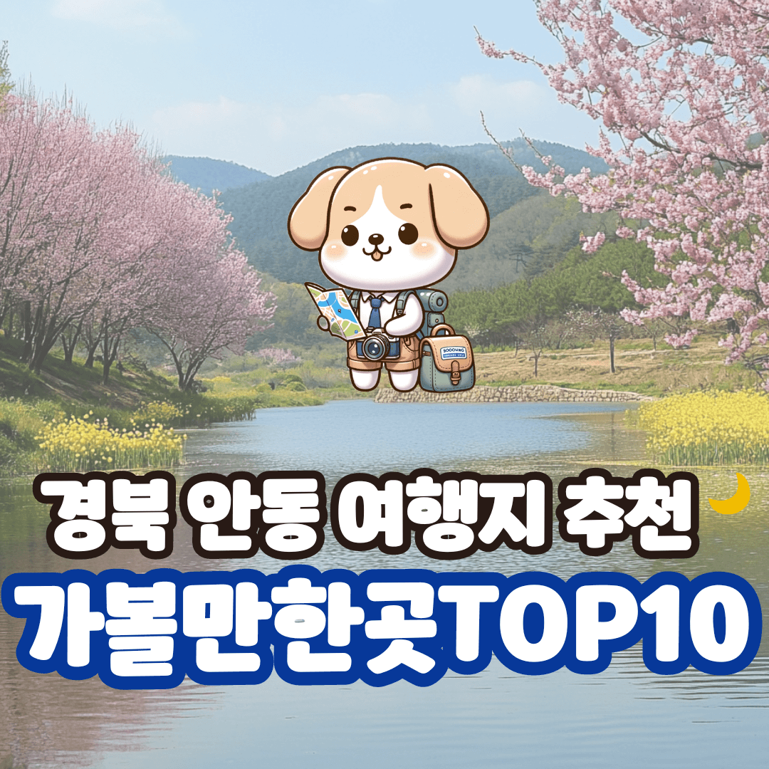 경북 안동 가볼만한곳 best 10