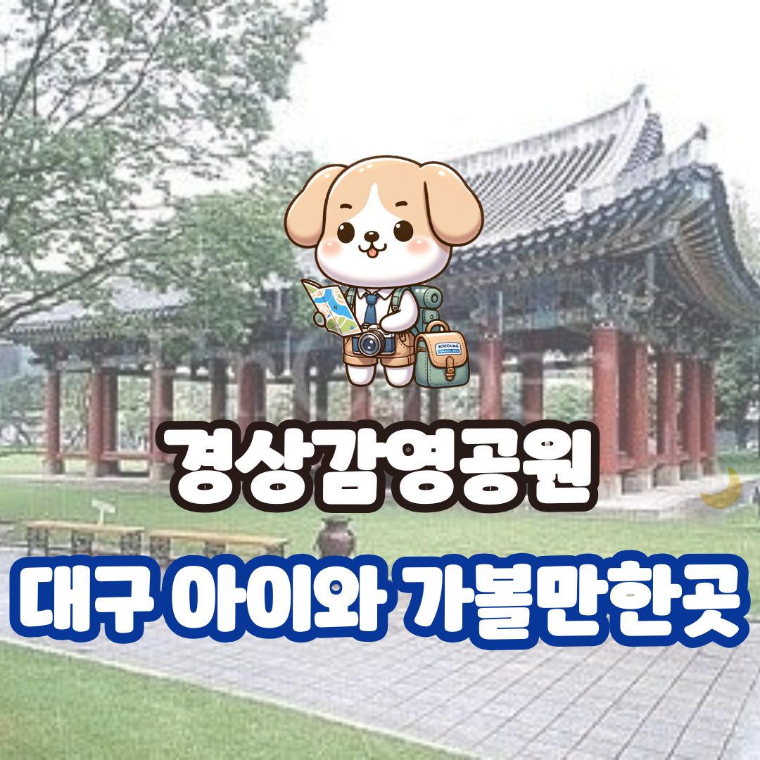 대구 아이와 가볼만한 곳 경상감영공원! 아이와 함께라면 꼭 가보세요 :)