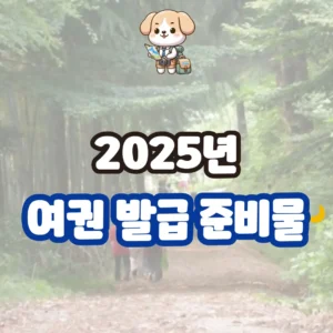 여권 발급 준비물