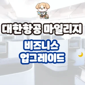 대한항공 마일리지 비지니스 업그레이드