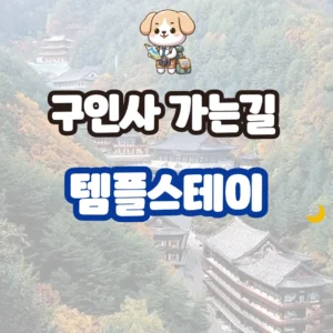 구인사 가는 길부터 템플스테이까지 완벽 후기 구인사 가는길 템플스테이