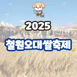 철원오대쌀축제