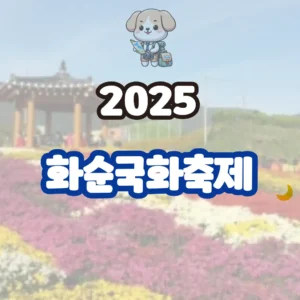 화순국화축제 2025