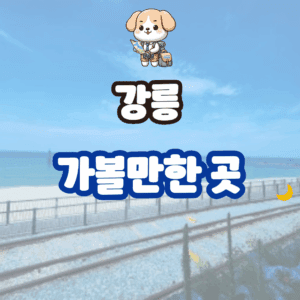 강릉 가볼만한 곳 추천