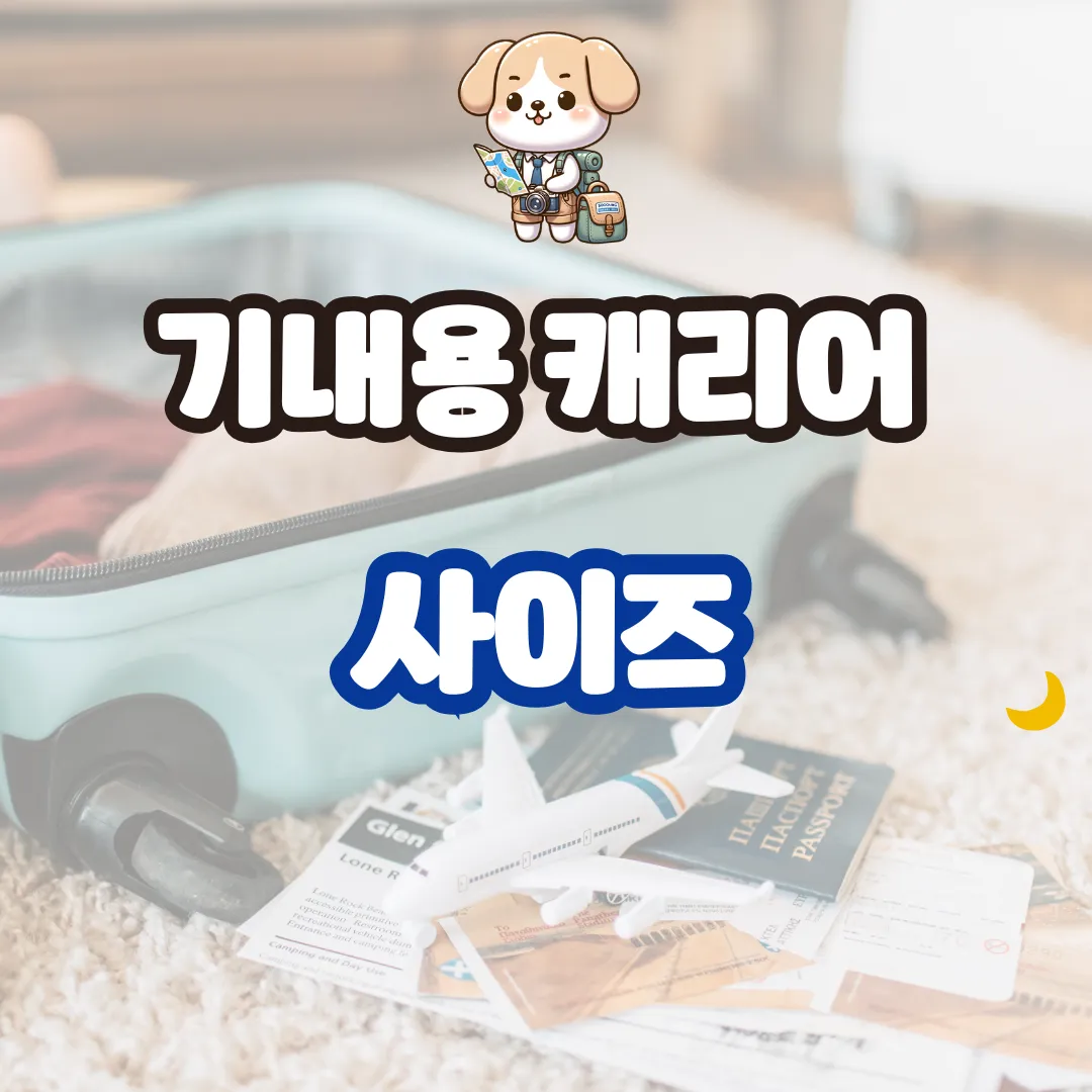 기내용 캐리어 사이즈