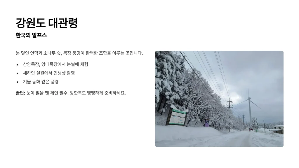 겨울 여행지 추천 국내