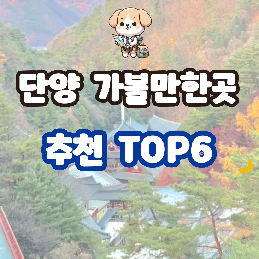 단양 가볼만한곳 추천 TOP6, 현지감성 그대로 담은 여행 코스