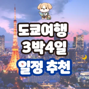 도쿄여행 3박4일 일정 추천