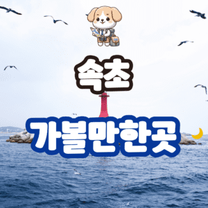 속초 가볼만한곳