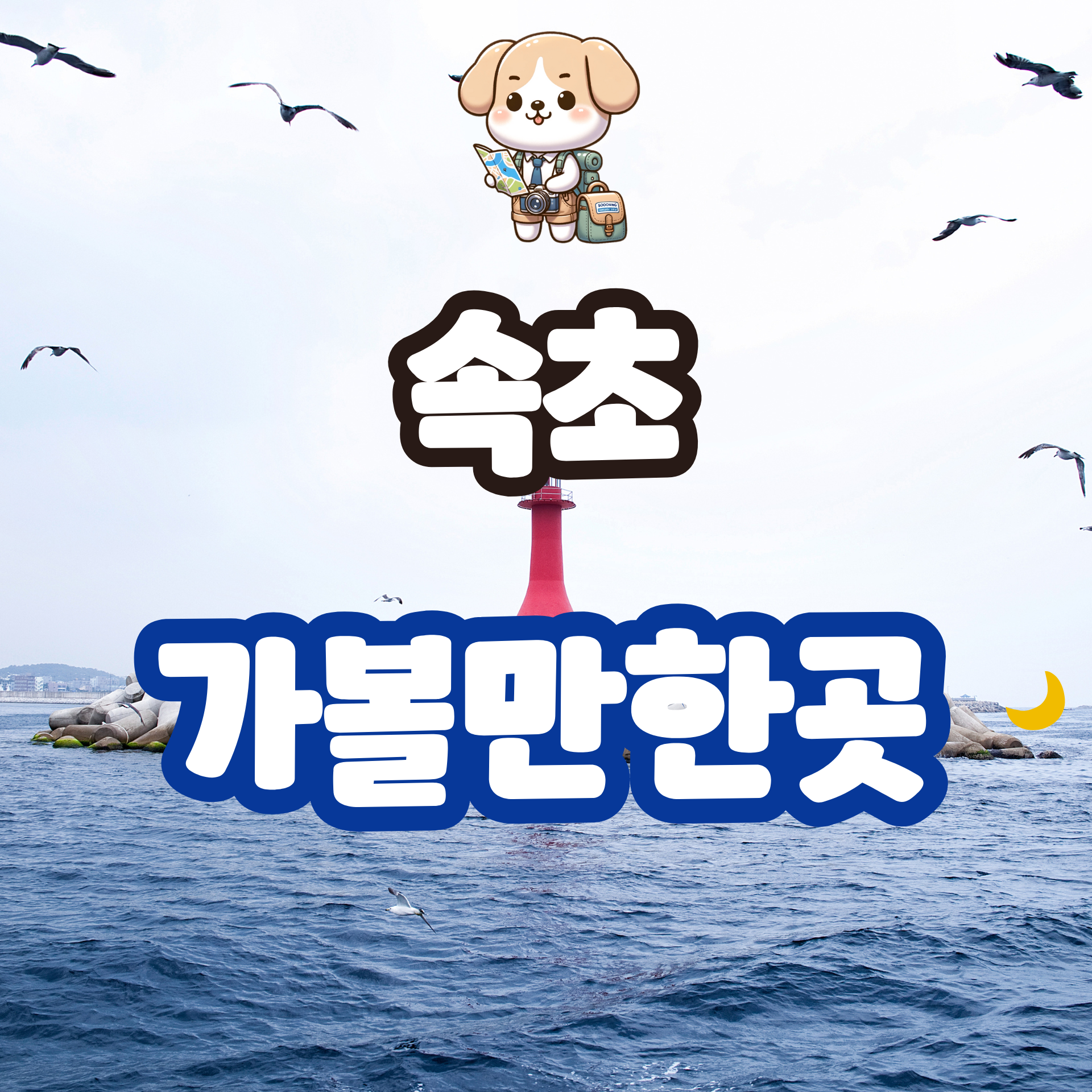 속초 가볼만한곳