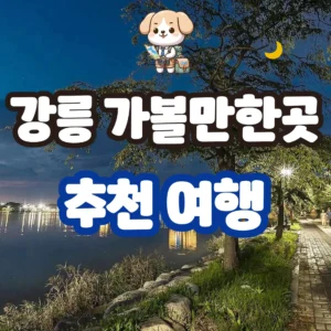 강릉 가볼만한곳 추천 여행 🌊 숨은 명소 위주로 다녀온 솔직 후기 강릉 가볼만한곳 추천 여행