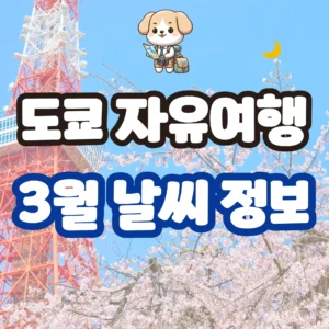 도쿄 자유여행 3월 날씨 정보