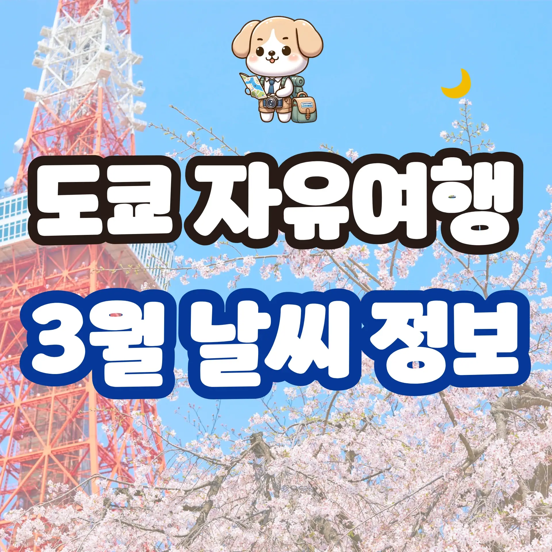 도쿄 자유여행 3월 날씨 정보