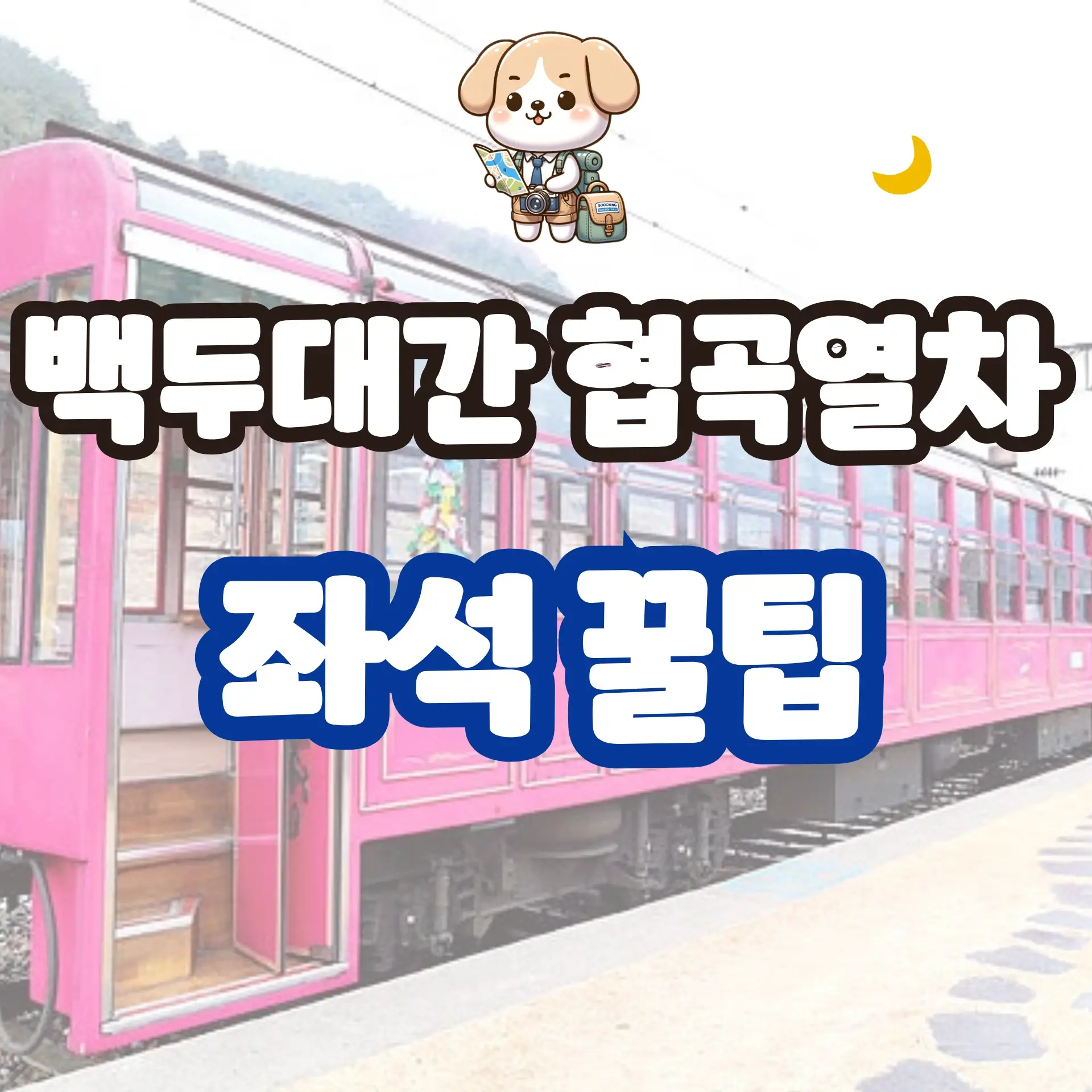 백두대간 협곡열차 좌석 꿀팁