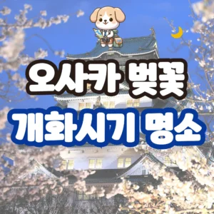 오사카 벚꽃 개화시기 명소