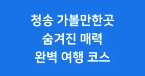 청송 가볼만한곳