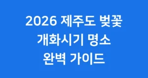 제주도 벚꽃 4월 개화시기 만개시기 추천명소 제주도 벚꽃 4월 개화시기