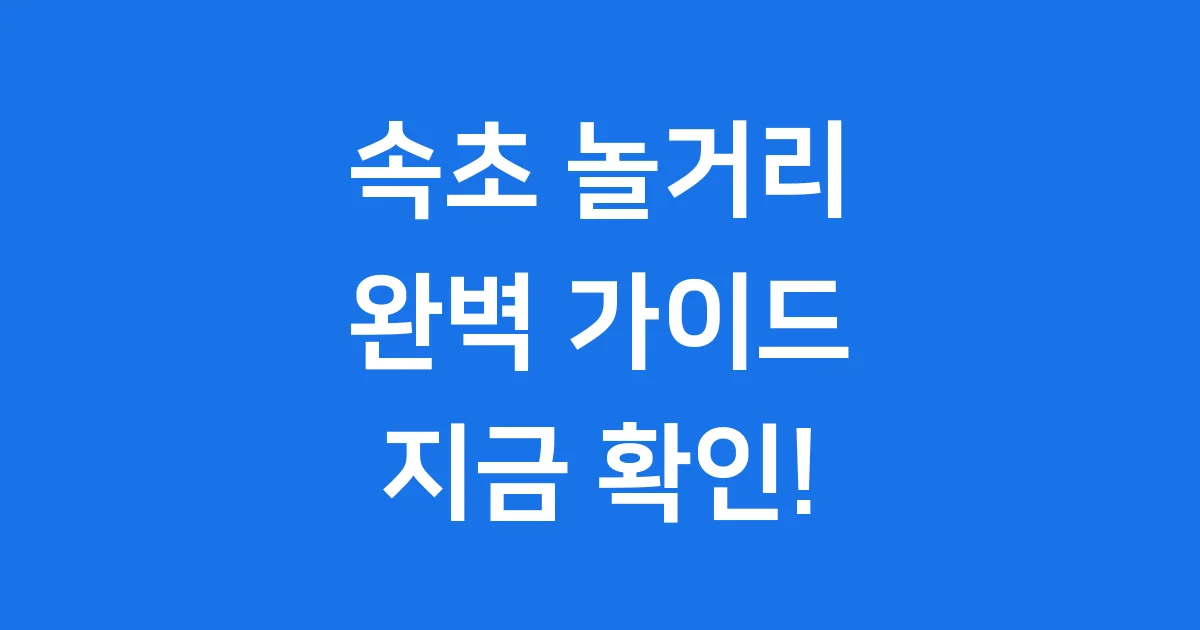 속초 놀거리