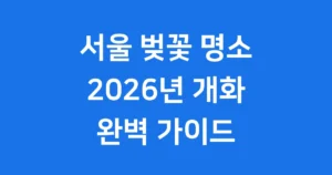 서울 벚꽃 명소 5곳 2026년 개화시기 방문팁 서울 벚꽃 명소
