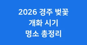 경주 벚꽃 명소 2026 개화