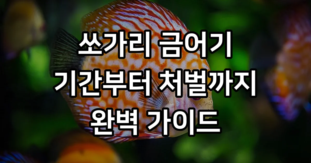 쏘가리 금어기