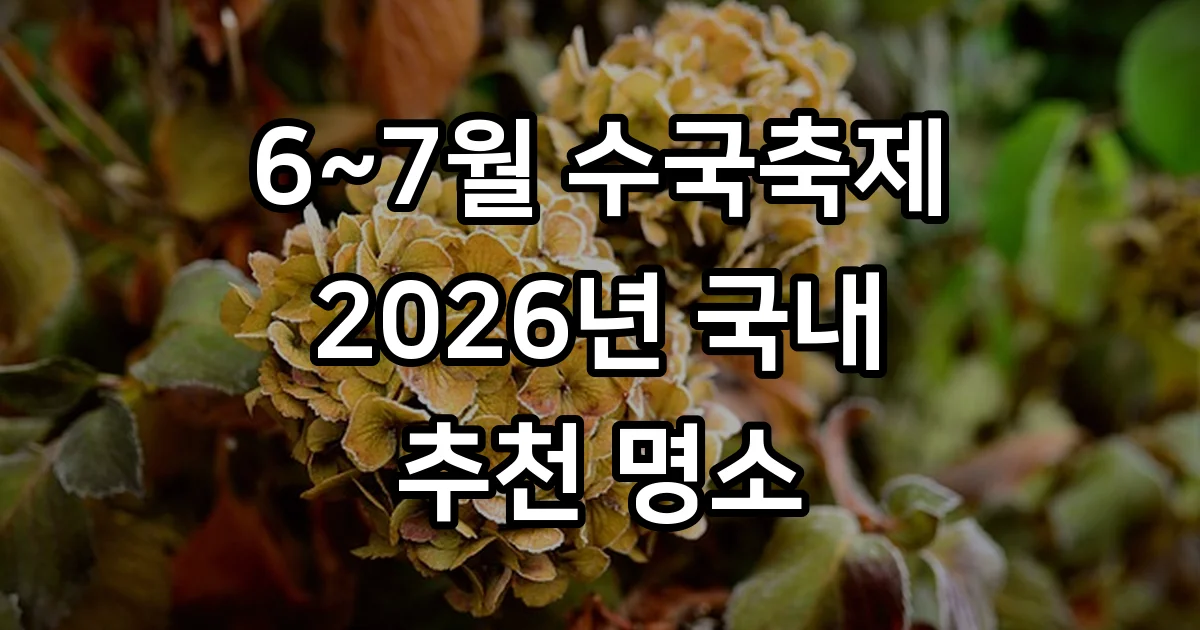 국내 수국축제 2026년 6월 7월 추천 명소