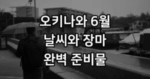 오키나와 6월 날씨 장마 옷차림 여행 준비물 오키나와 6월 날씨 장마 준비물