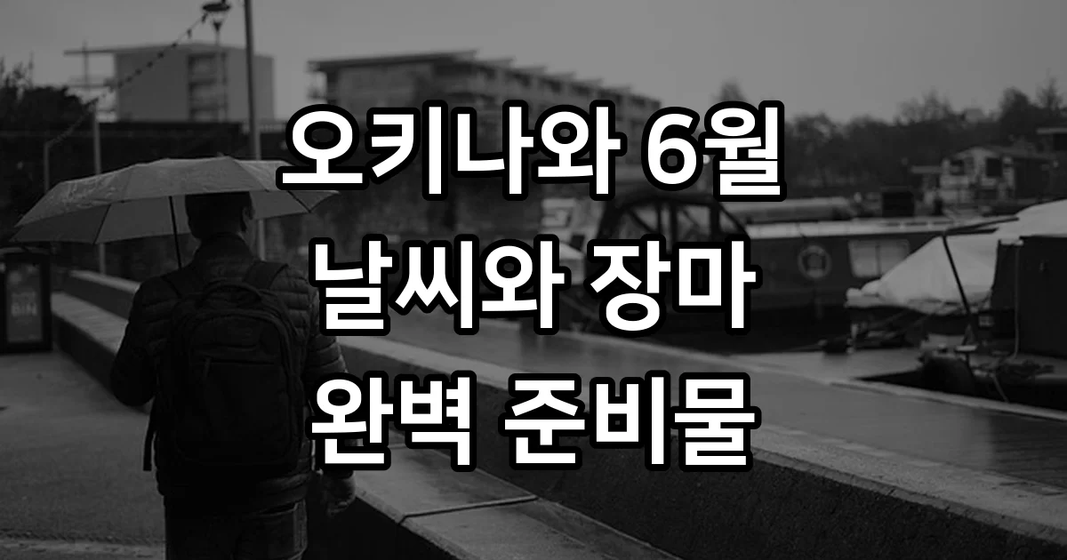 오키나와 6월 날씨 장마 준비물