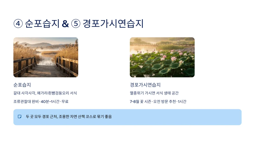 강원도 강릉 가볼만한곳 베스트10