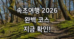 속초여행 2026 설악산 신흥사 영금정 맛집 코스 완벽 가이드 속초여행 설악산 신흥사 영금정 맛집 코스