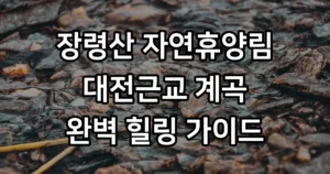 옥천 장령산 자연휴양림: 대전근교 금천계곡에서 만나는 힐링 명소
