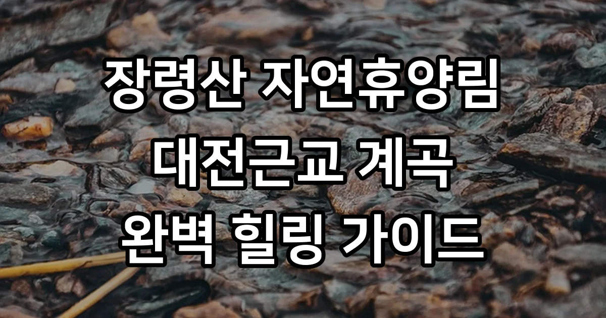 옥천 장령산 자연휴양림: 대전근교 금천계곡에서 만나는 힐링 명소