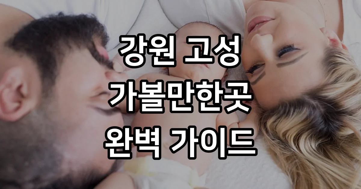고성 가볼만한곳 베스트10