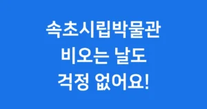 속초 실내 가볼만한곳 속초시립박물관 운영시간 입장료 속초 실내 가볼만한곳 속초시립박물관
