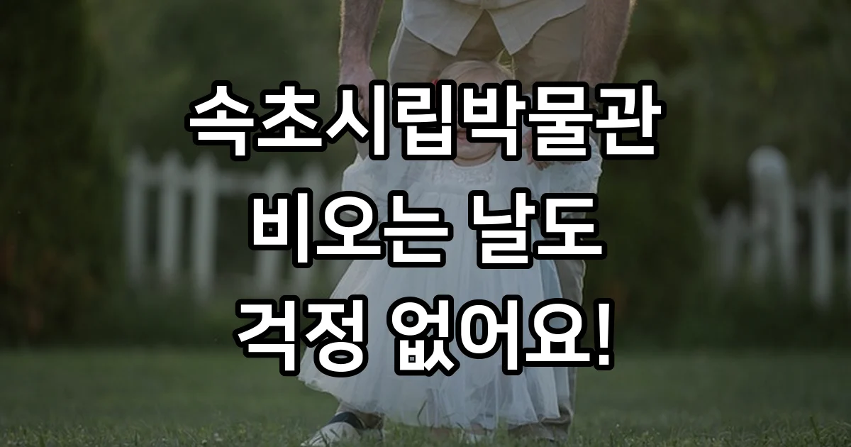속초 실내 가볼만한곳 속초 시립박물관