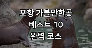 포항 가볼만한곳 베스트 10 여행 코스 추천