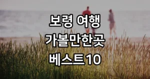 보령 가볼만한곳 베스트10 대천해수욕장 여행 코스 보령 가볼만한곳 베스트10