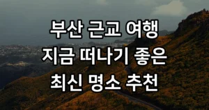 부산 근교 여행 지금 가볼만한 곳 최신 명소 추천 부산 근교 지금 가볼만한 곳