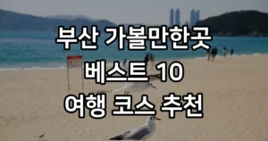 부산 가볼만한곳 2026년 여행 코스 추천 부산 가볼만한곳 베스트 10