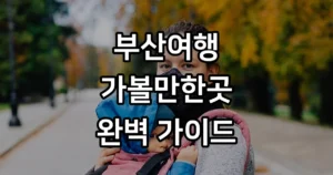 부산 가볼만한곳 놀거리 먹거리 추천 2026년 완벽 가이드 부산 가볼만한곳 놀거리 먹거리 추천